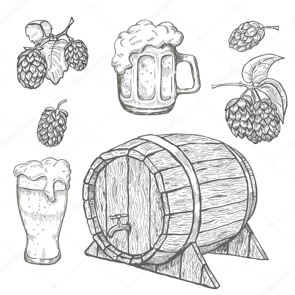 Sketches of hop plant, wood barrel and beer mugs