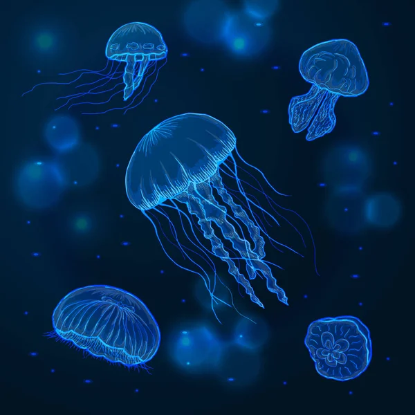 Dibujo dibujado a mano medusas aisladas, animales marinos — Vector de stock