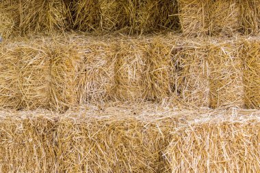 sarı saman balya doğal bir arka plan görüntüsü