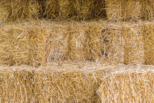 изображение естественного фона тюков из желтой соломы
