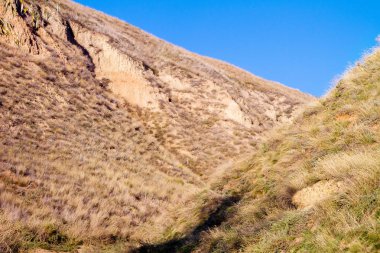 Stanislav'ın kil dağlar bitki örtüsü ile görüntü