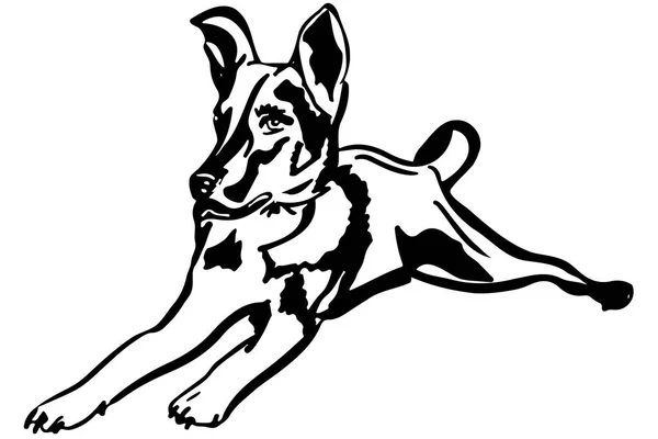 Zwart Wit Schets Huisdier Pup Leugens — Stockvector