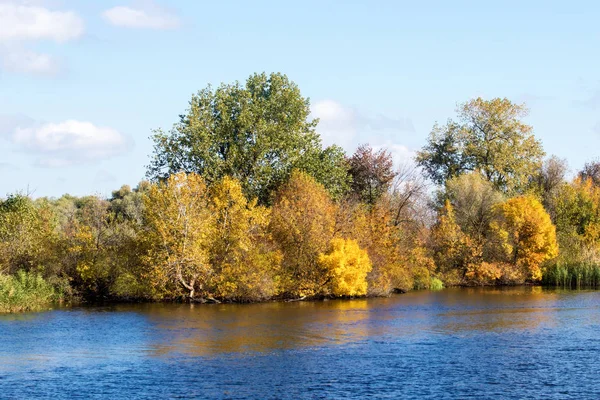 Žluté stromy na podzim u řeky — Stock fotografie