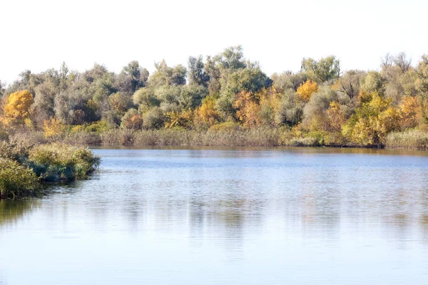 Krajina žluté stromy na březích velké řeky — Stock fotografie