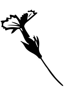 Siyah ve beyaz vektör, ince bir sapın üzerine yabani çiçek çiz.