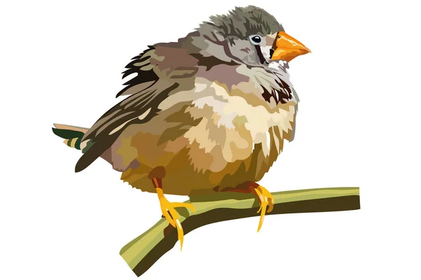 Imagen Vectorial Pajarito Con Pico Amarillo Sentado Una Rama — Vector de stock