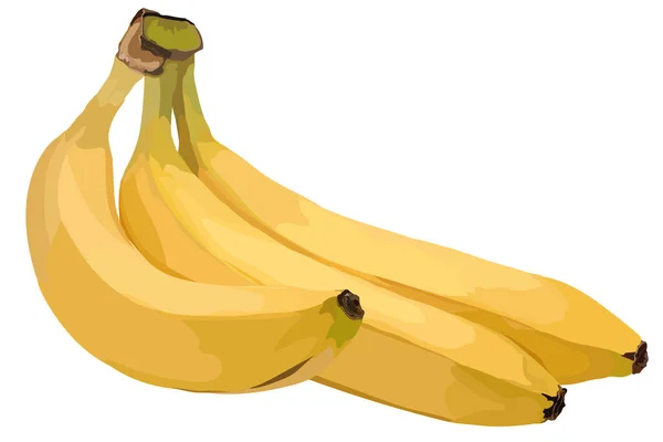 Imagem Vetorial Três Bananas Amarelas Maduras Sobre Fundo Branco —  Vetores de Stock