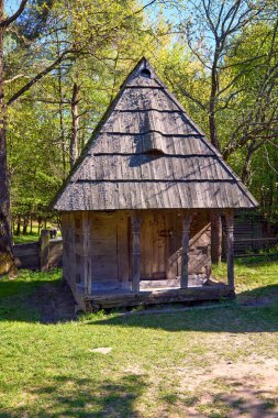 Ormandaki eski bir ahşap barakanın resmi.