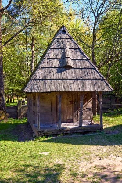 Ormandaki eski bir ahşap barakanın resmi.