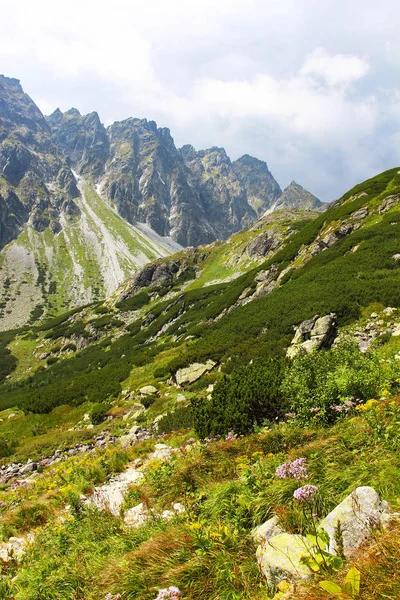 Prachtige Landschap Van Nationaal Park Hoge Tatra Vysoké Tatry Slowakije — Stockfoto