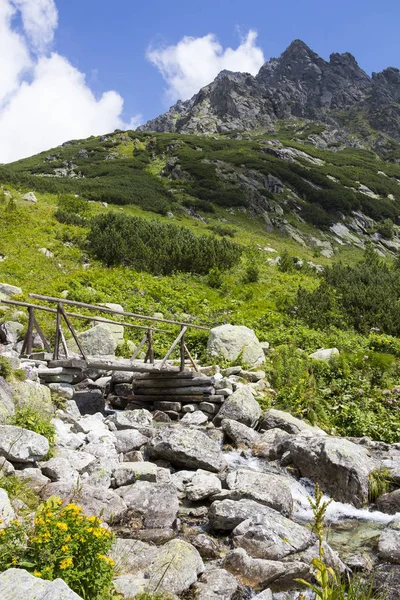 Prachtige Landschap Van Nationaal Park Hoge Tatra Vysoké Tatry Slowakije — Stockfoto