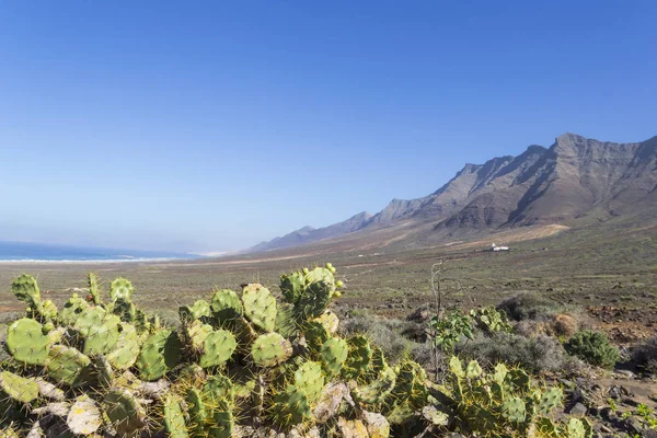 Plage Cofete Belle Vue Sur Chaîne Montagnes Jandia Fuerteventura Îles — Photo