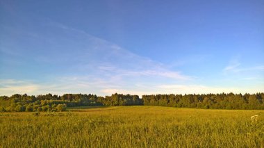 Bulutlu gökyüzü, kuru otlar ve ağaçlarla dolu yaz kırsal arazisi                    