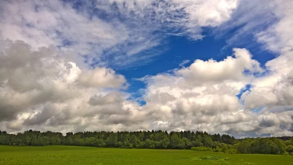 Verão Paisagem Rural Com Céu Nublado Grama Seca Árvores — Fotografia de Stock