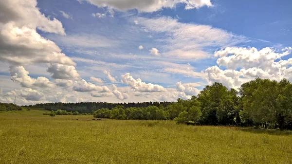 Paisagem rural — Fotografia de Stock