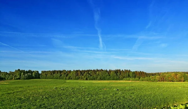 Jarní Krajina Farmářským Polem Lesem Oblačným Nebem — Stock fotografie