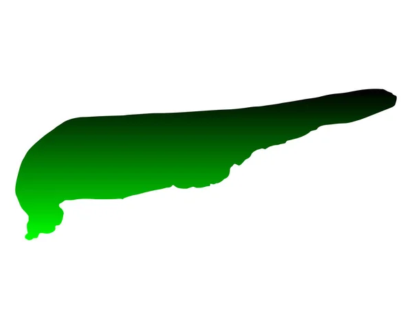 Mapa Preciso Schiermonnikoog — Archivo Imágenes Vectoriales