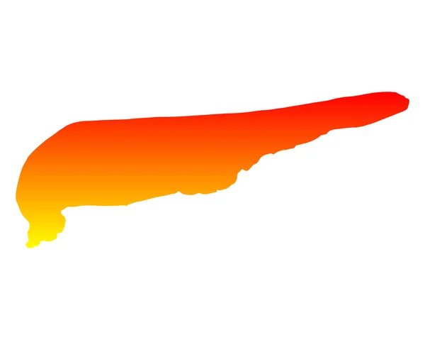 Přesná Mapa Města Schiermonnikoog — Stockový vektor