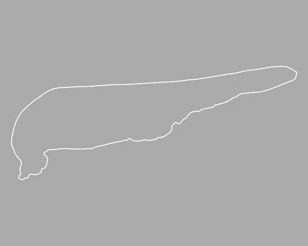 Mapa miasta Schiermonnikoog — Wektor stockowy