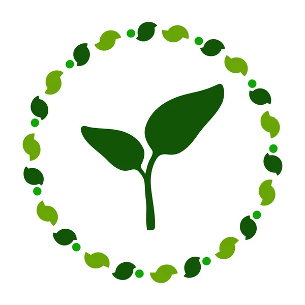 Φυτό Και Στεφάνι Διανυσματική Απεικόνιση — Διανυσματικό Αρχείο