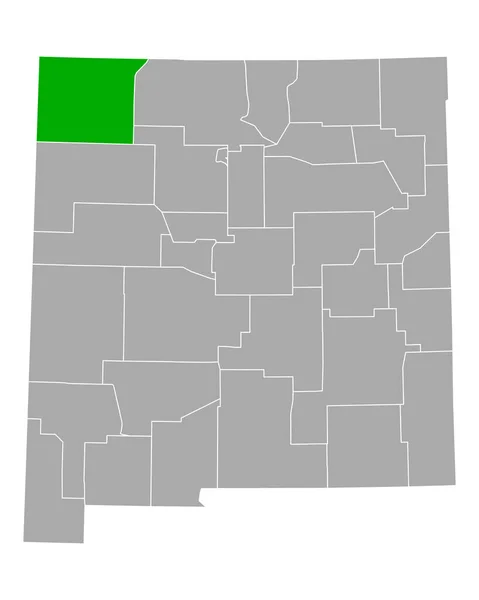 新墨西哥圣胡安地图 — 图库矢量图片