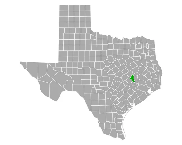 Karte Von Brazos Texas — Stockvektor