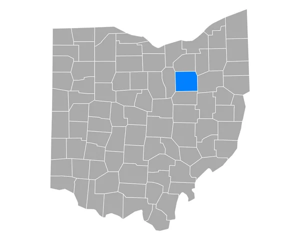 Carte Wayne Ohio — Image vectorielle