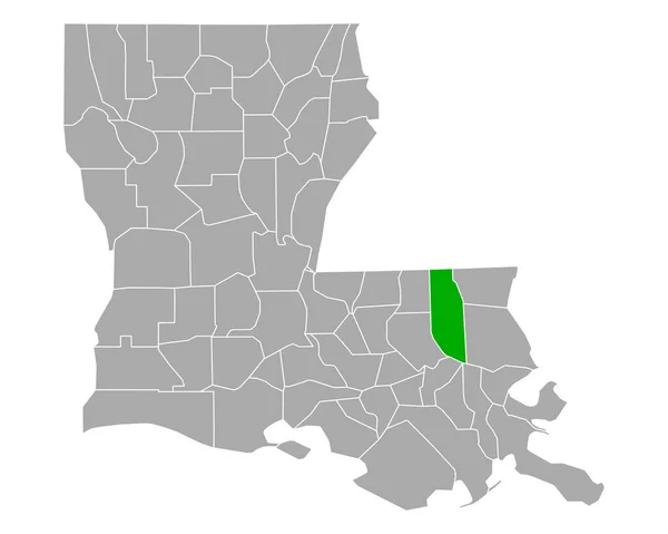 Louisiana Daki Tangipahoa Haritası — Stok Vektör