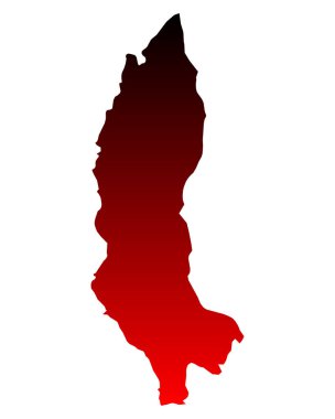 Amazonların doğru haritası