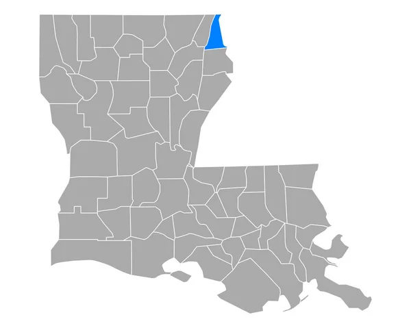 路易斯安那州东卡罗尔地图 — 图库矢量图片
