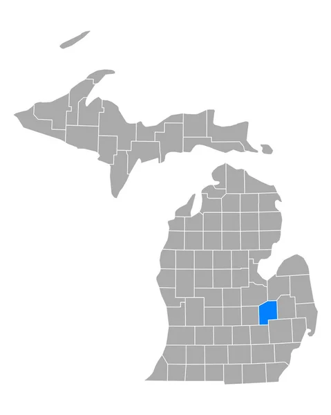 Karte Von Genesee Michigan — Stockvektor