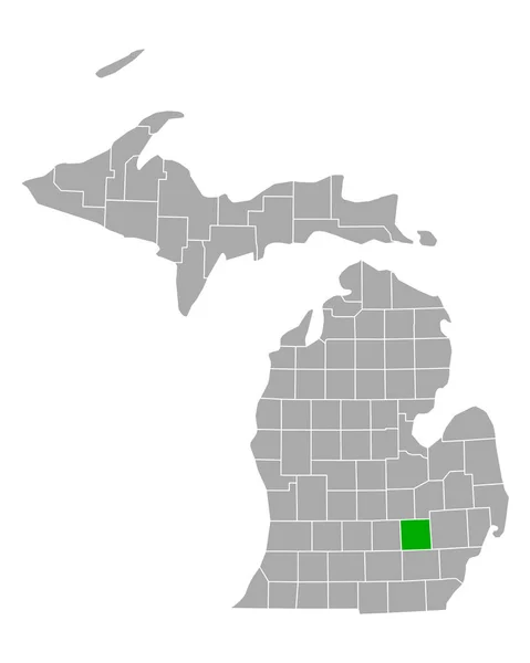Michigan Daki Livingston Haritası — Stok Vektör