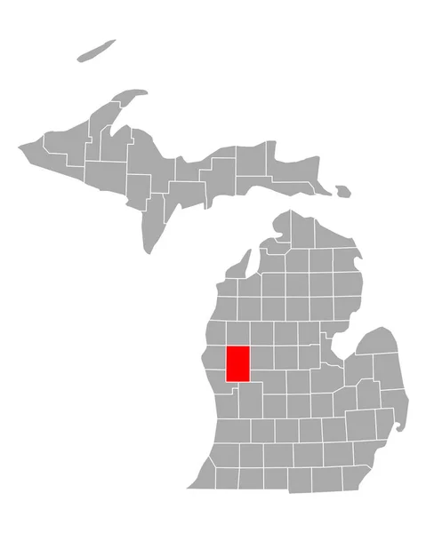 Karte Von Newaygo Michigan — Stockvektor