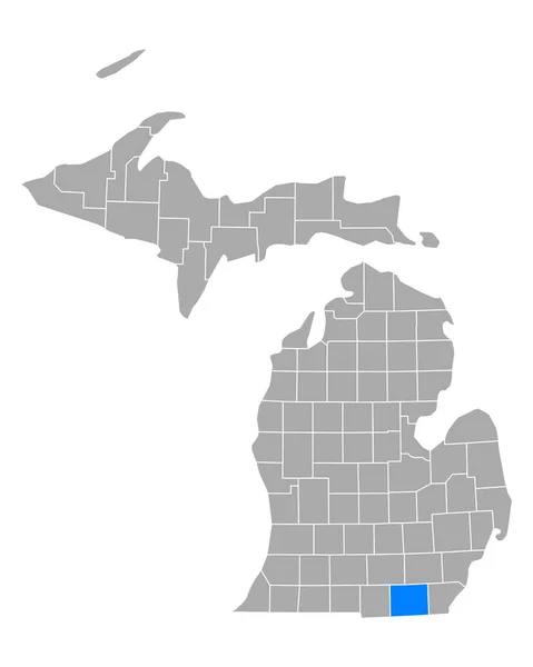 Mapa Alergia Imunologia Michigan — Vetor de Stock