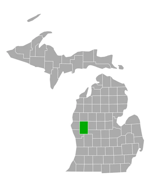 Carte Newaygo Michigan — Image vectorielle