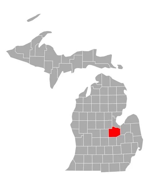 Mappa Saginaw Michigan — Vettoriale Stock