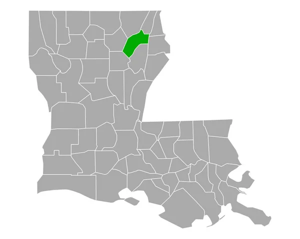 Map Richland Louisiana — Stock Vector