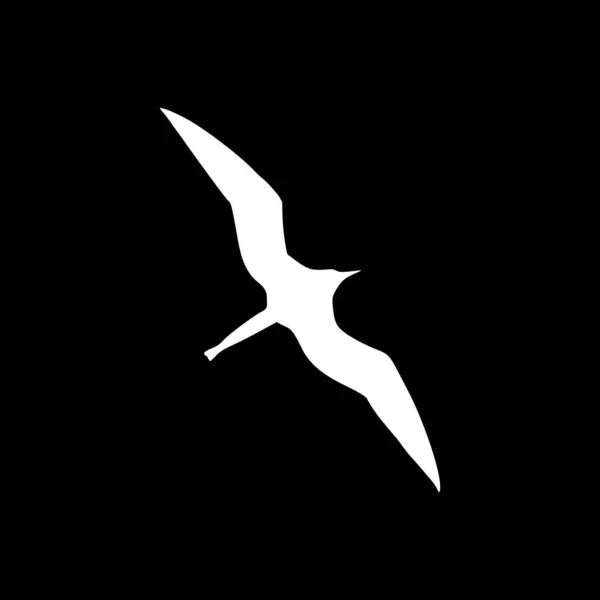 Frigate Bird Background Vector Illustration — Stock Vector