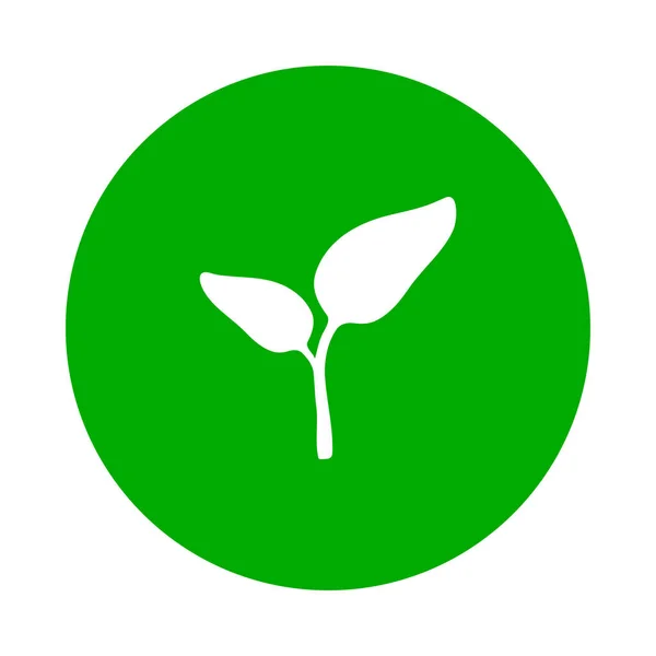 Φυτό Και Κύκλος Διανυσματική Απεικόνιση — Διανυσματικό Αρχείο
