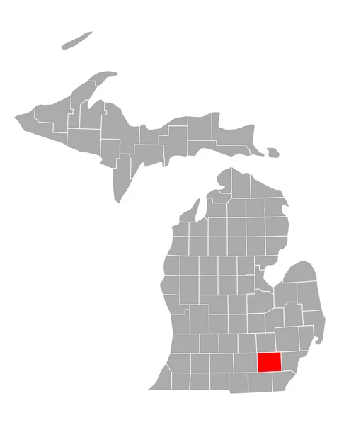 Karte Von Washtenaw Michigan — Stockvektor