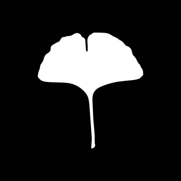 Ginkgo Blad Och Bakgrund Som Vektor Illustration — Stock vektor