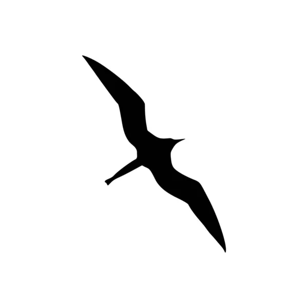 Fregattvogel Und Hintergrund Als Vektorillustration — Stockvektor