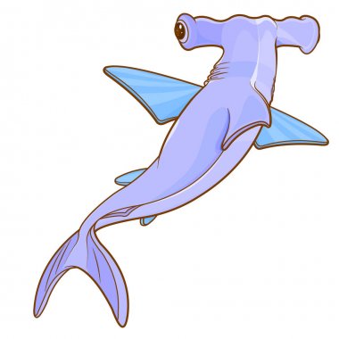 çekiç köpekbalığı beyaz arka plan üzerinde izole