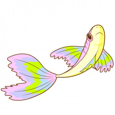 Beyaz arka plan üzerinde izole renkli balık