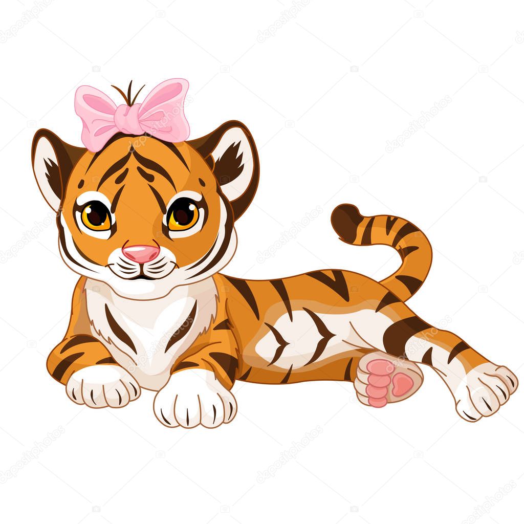 drawn tiger isolated on white background