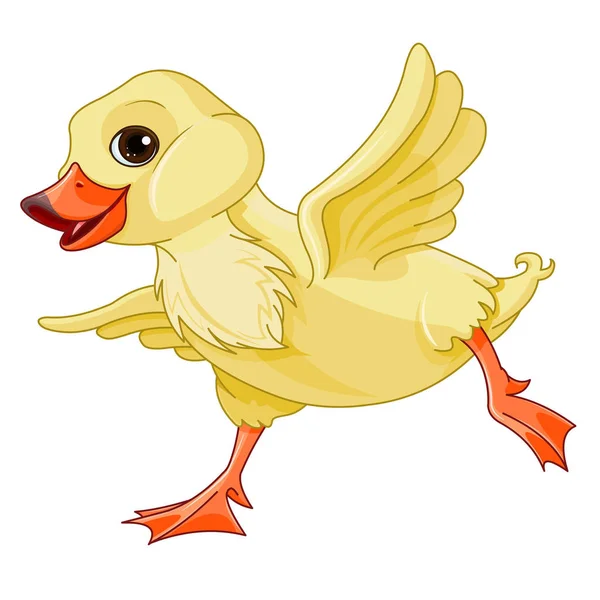 Illustration Vectorielle Canard Mignon Sur Blanc — Image vectorielle