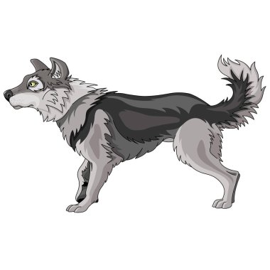 sevimli çizgi kurt çizimi 