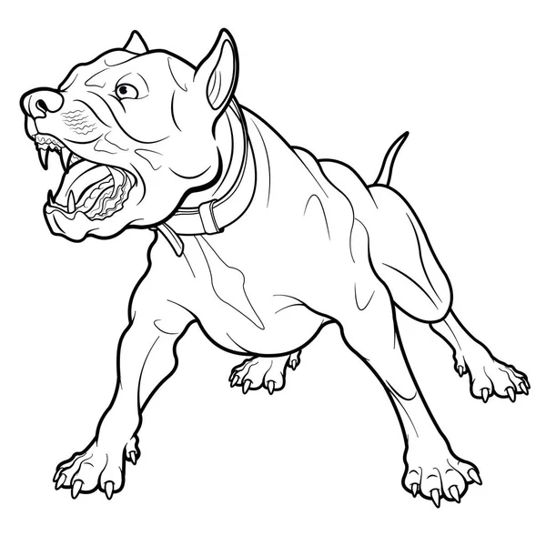 Angry Barking Pit Bull Dog Line Illustration — Stock Vector