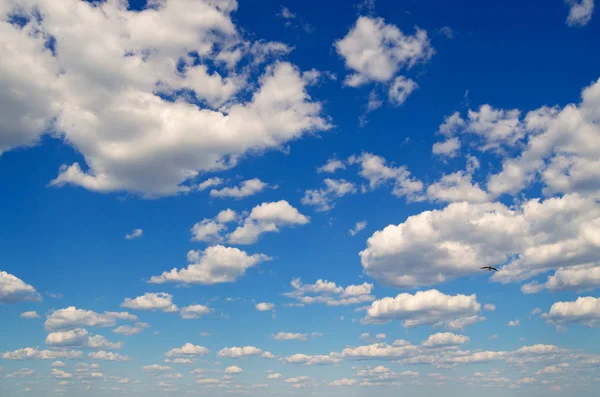 Blue sky with clouds. — Stock Photo, Image