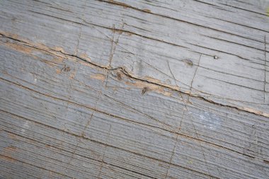 Eski boyanmış ahşap doku